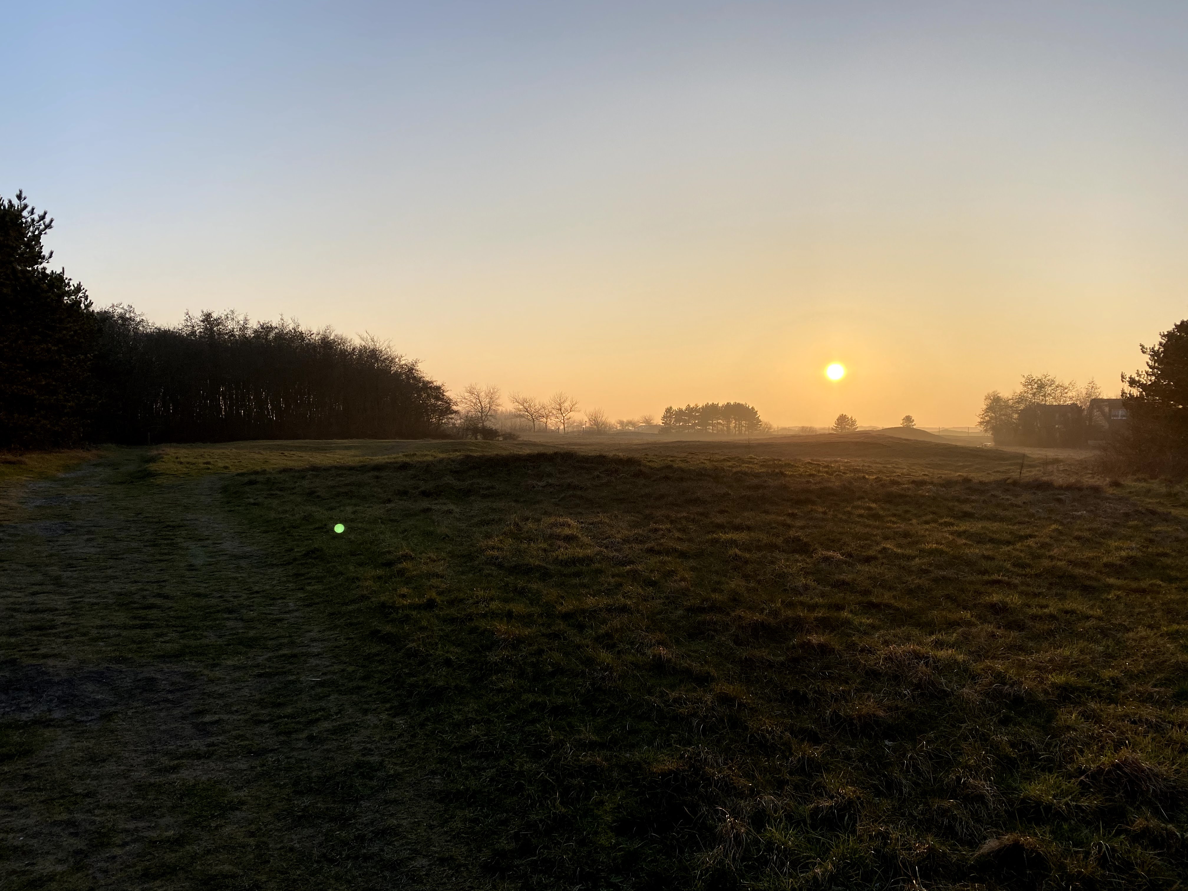 Zonsopkomst over het weiland