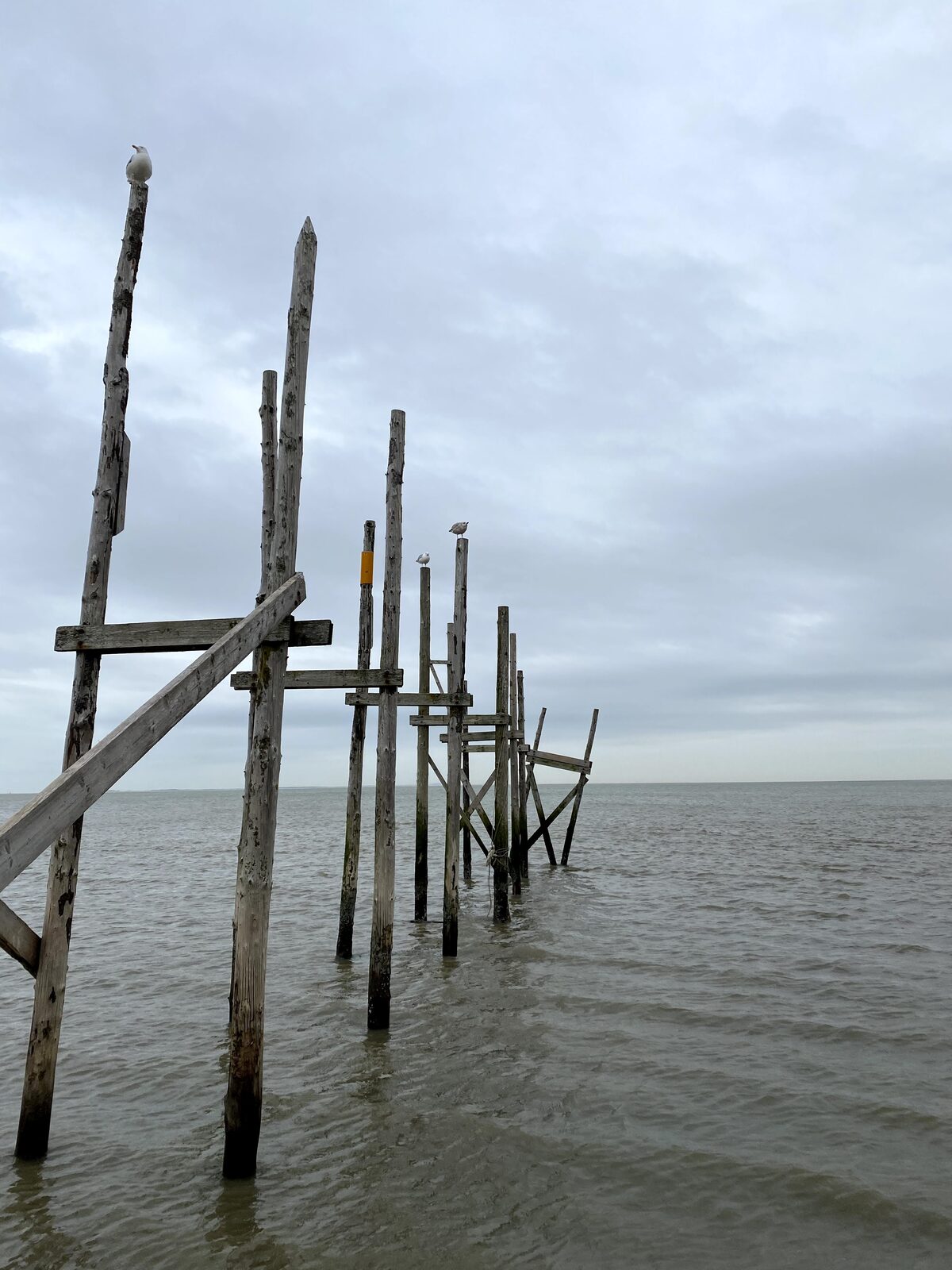 Houten palen in de zee